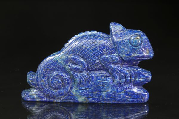 Lapis lazuli chameleon - Obrázek 2