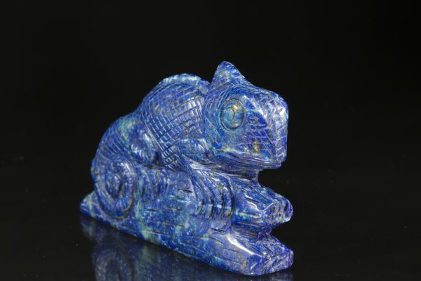 Lapis lazuli chameleon - Obrázek 3