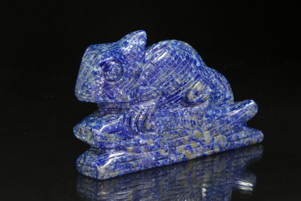 Lapis lazuli chameleon - Obrázek 4