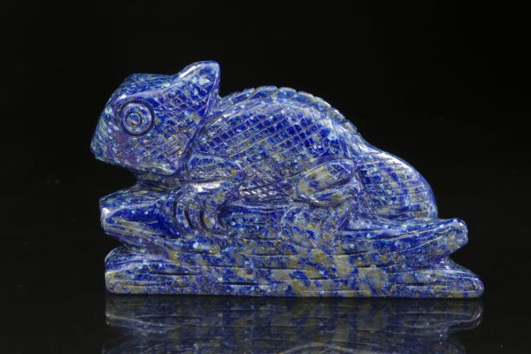 Lapis lazuli chameleon - Obrázek 5