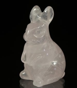 Růženínový králík