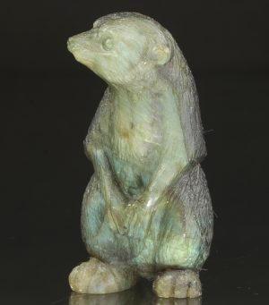 Labradoritová surikata