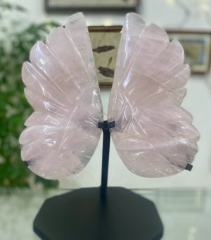 Andělská křídla - Růženín