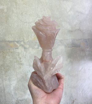 Růženínová růže