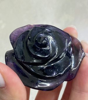 Ametystový květ růže