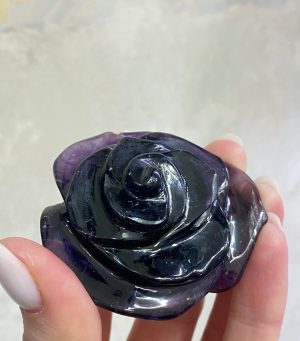 Ametystový květ růže