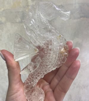 Menší mořský koník z křišťálu