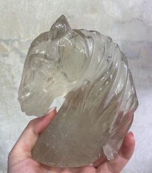 Menší hlava koně za záhnědy