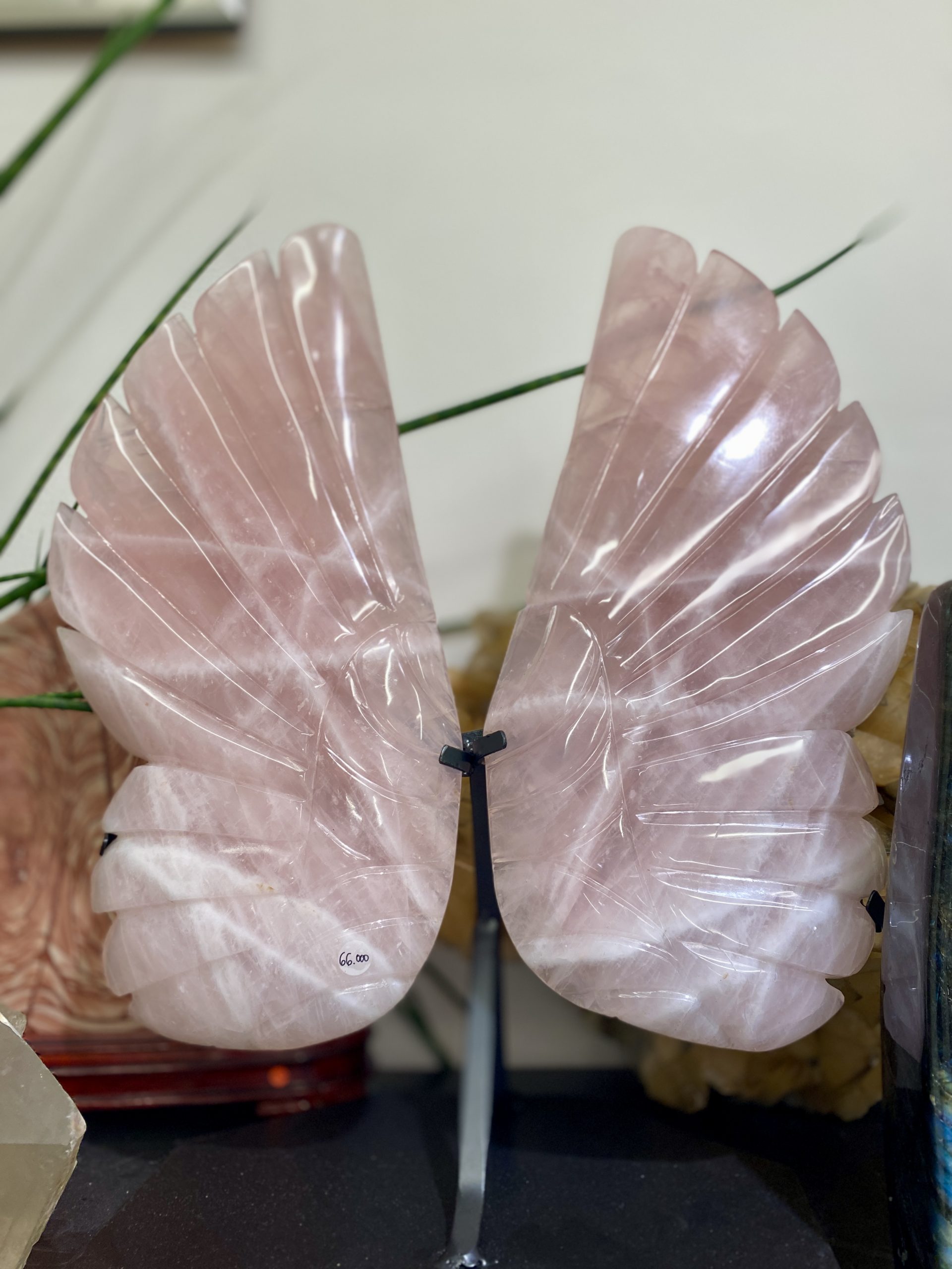 Menší růženínová křídla