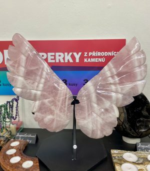 Větší růženínová křídla