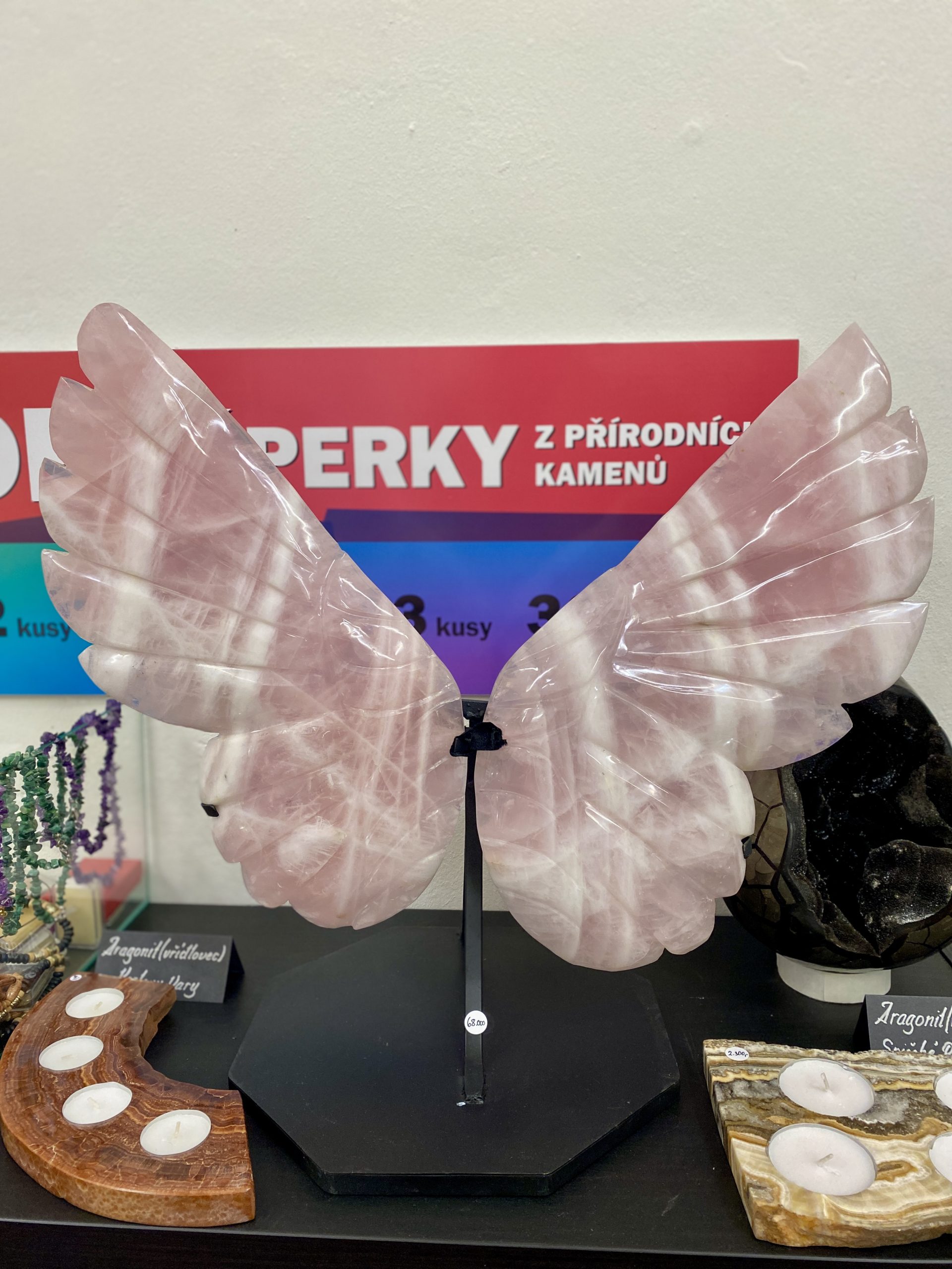 Větší růženínová křídla