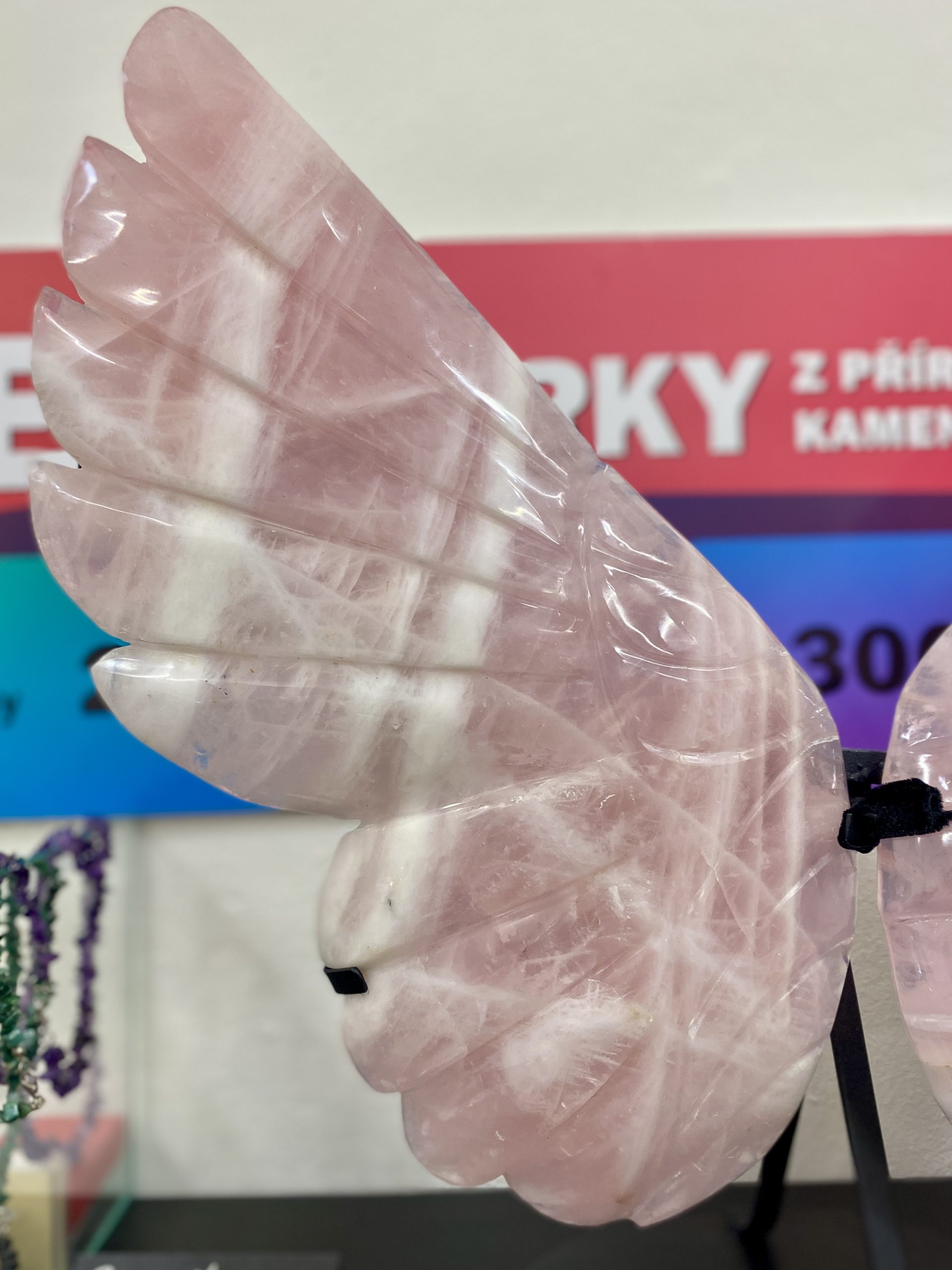 Větší růženínová křídla - Obrázek 3