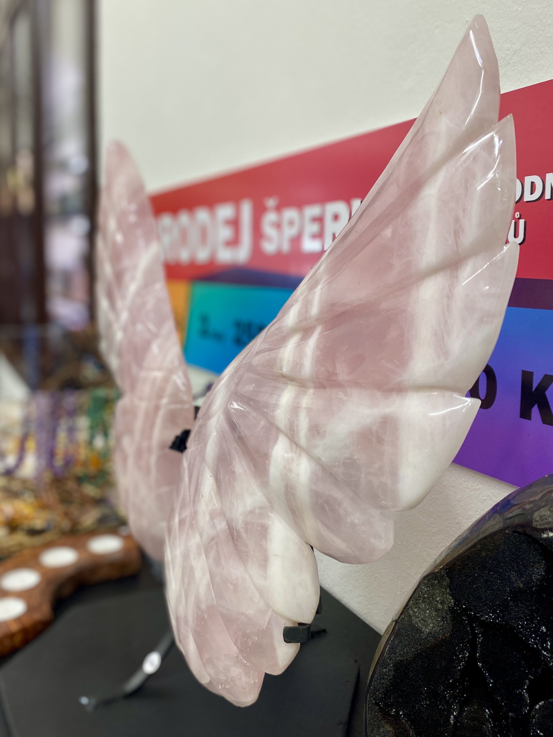 Větší růženínová křídla - Obrázek 4