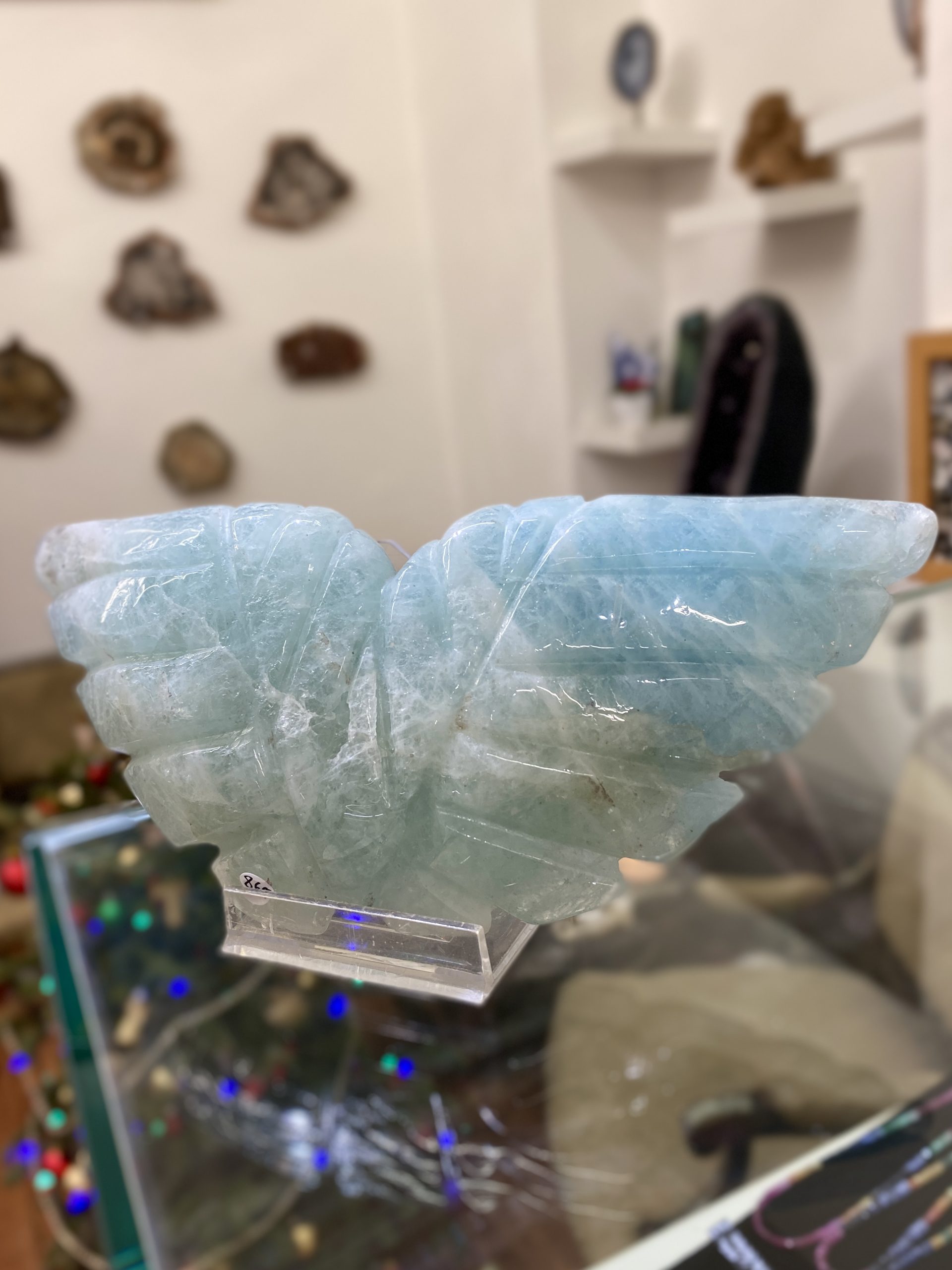 Akvamarínová křídla