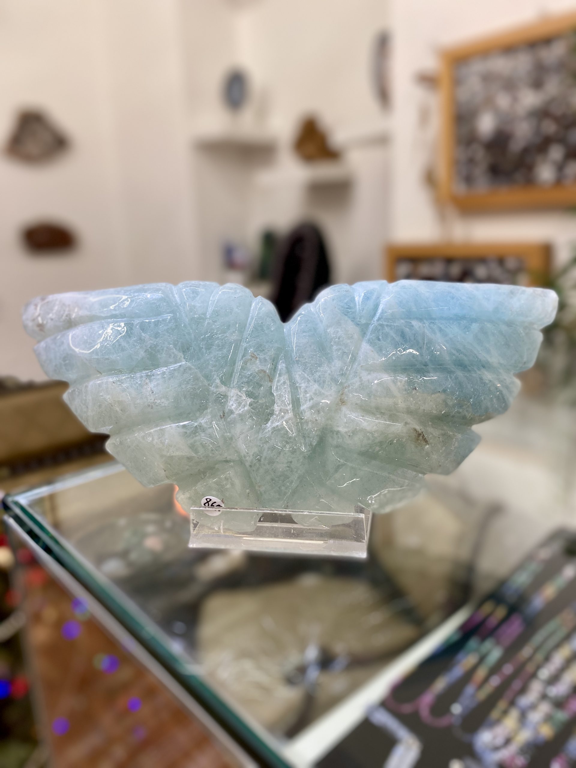 Akvamarínová křídla - Obrázek 3