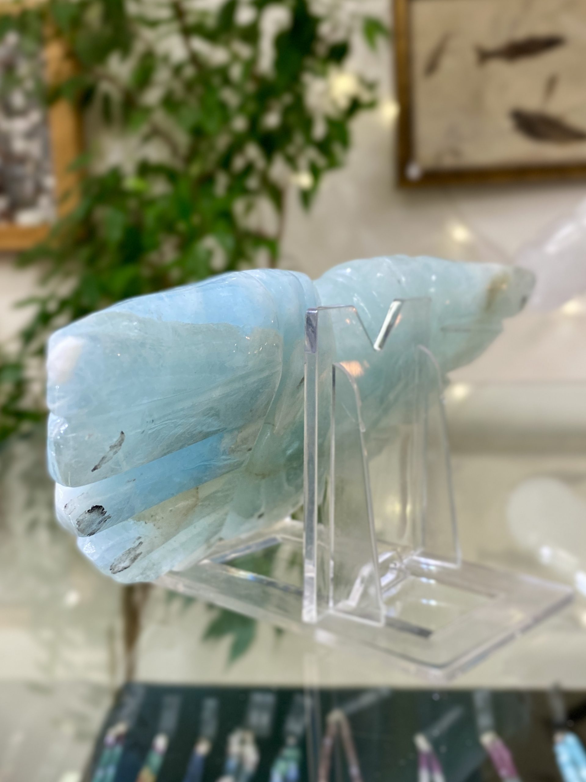 Akvamarínová křídla - Obrázek 6