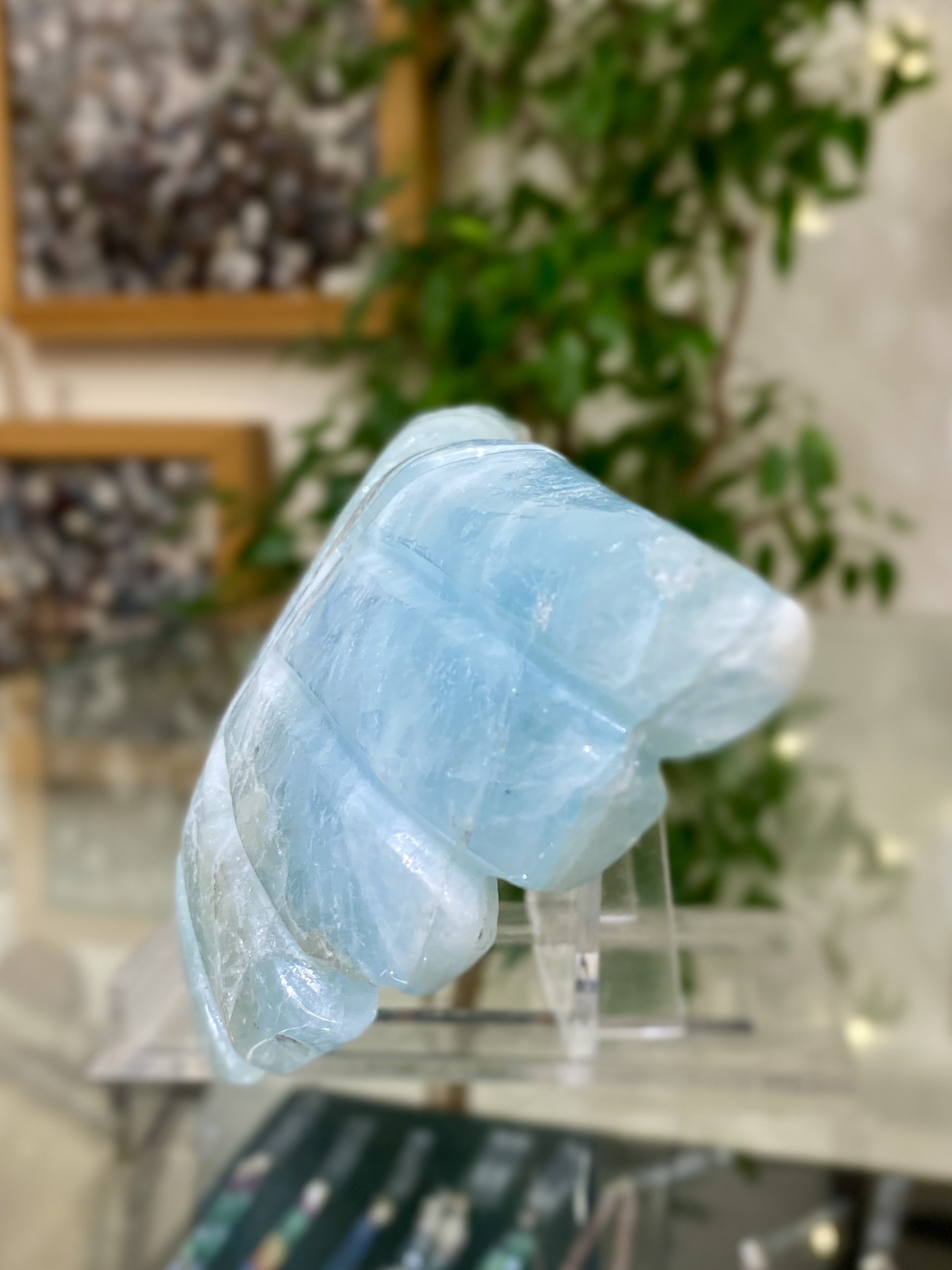 Akvamarínová křídla - Obrázek 7