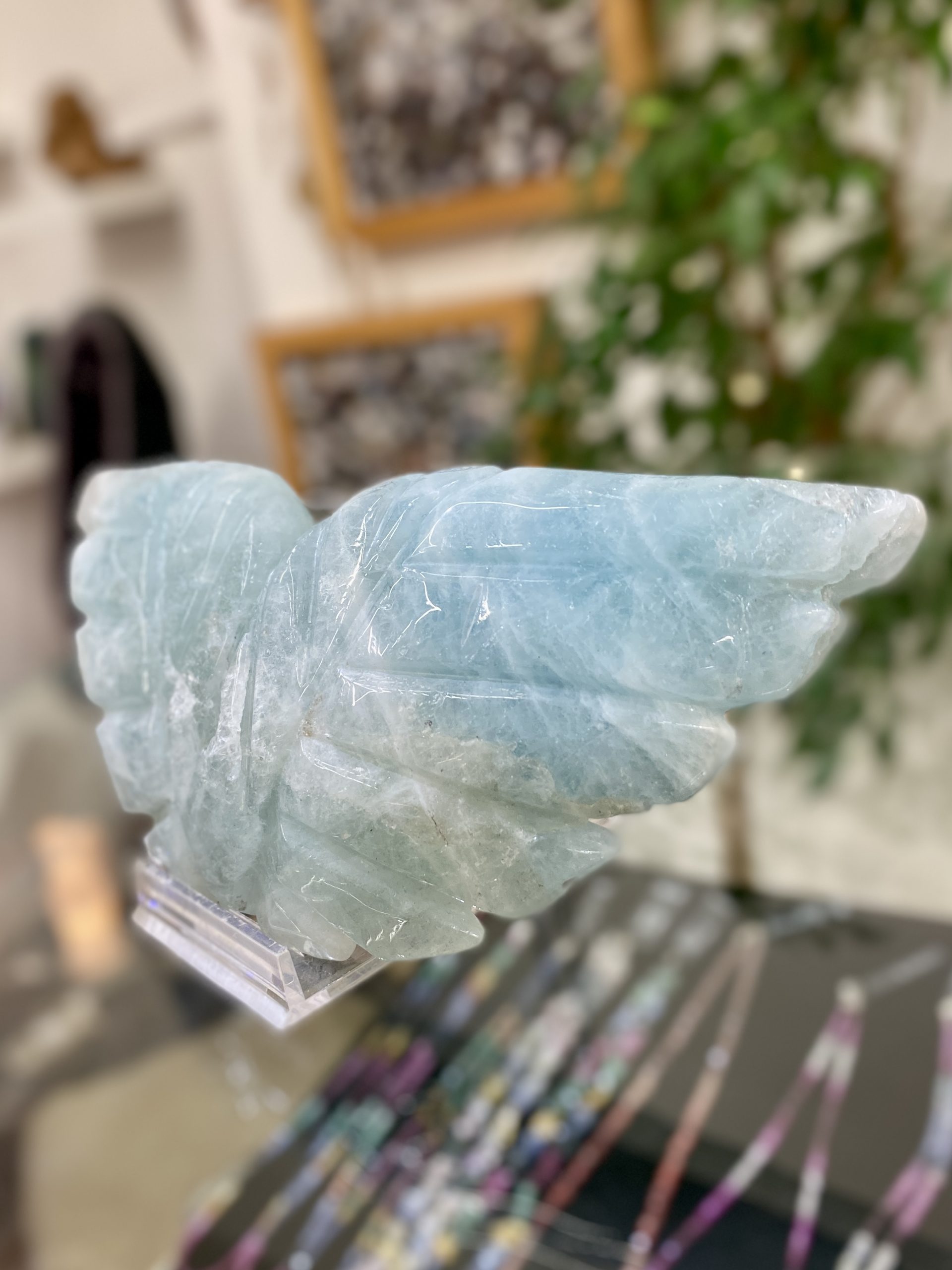 Akvamarínová křídla - Obrázek 8