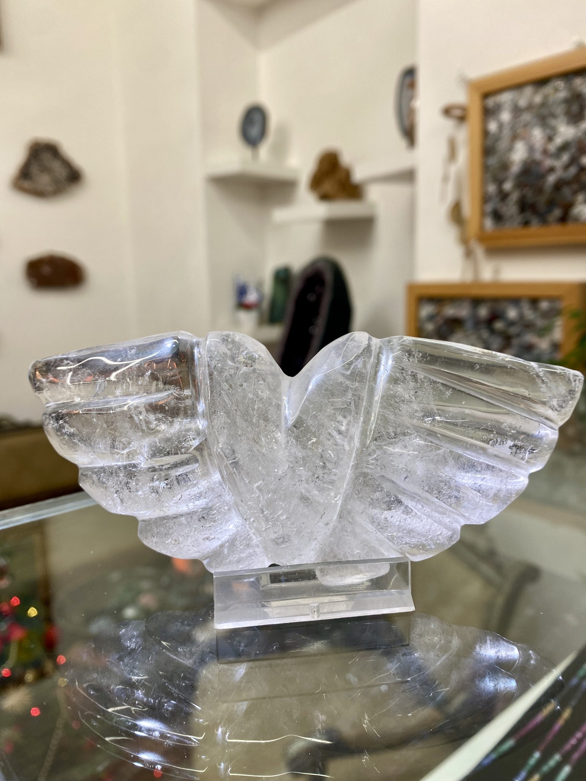 Křišťálová křídla - Obrázek 2