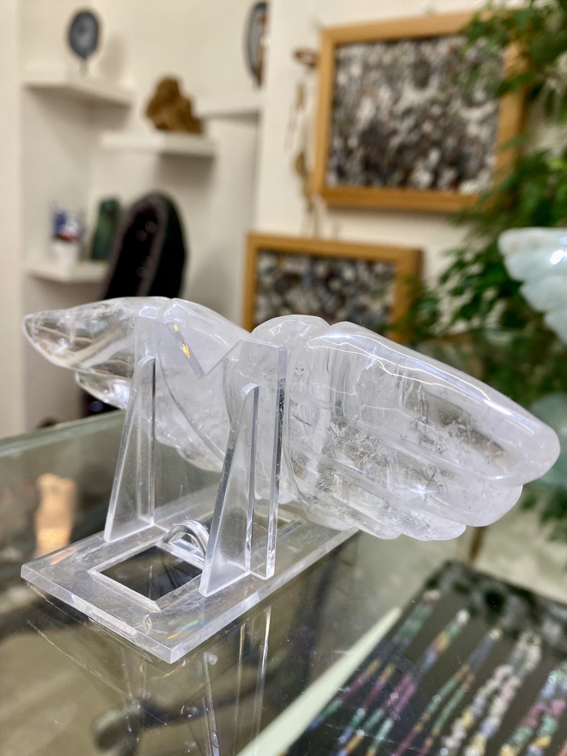 Křišťálová křídla - Obrázek 5