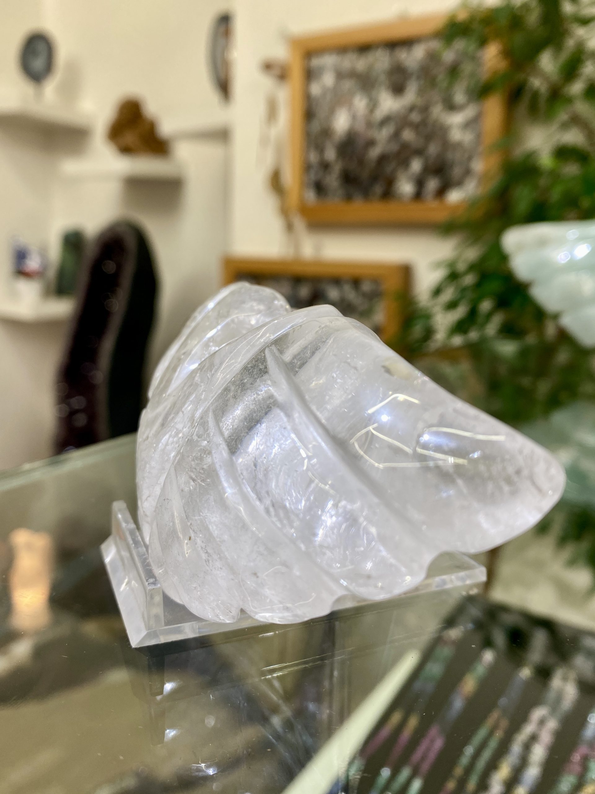 Křišťálová křídla - Obrázek 7