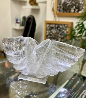 Křišťálová křídla